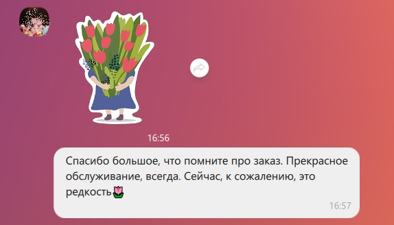 13.jpg 13.jpg