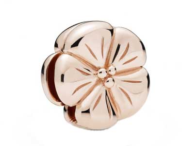 787897-pandora-spring-2019-Rose-Reflexions-Flower-Clip.jpg 787897-pandora-spring-2019-Rose-Reflexions-Flower-Clip.jpg