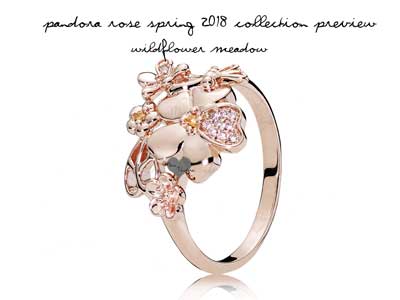 pandora-rose-spring-2018-wildflower-meadow-ring.jpg pandora-rose-spring-2018-wildflower-meadow-ring.jpg